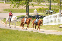 Horseback Riding on the Gettysburg Battlefield