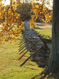 Fence at The Peach Orchard