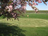 Eisenhower's Putting Green