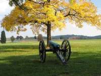 Cannon on Confederate Avenue