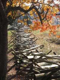 Fence at The Wheatfield