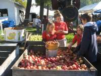 National Apple Harvest Festival