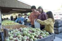 Farmers' Markets