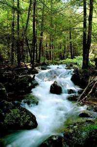 Tom's Creek, Fairfield